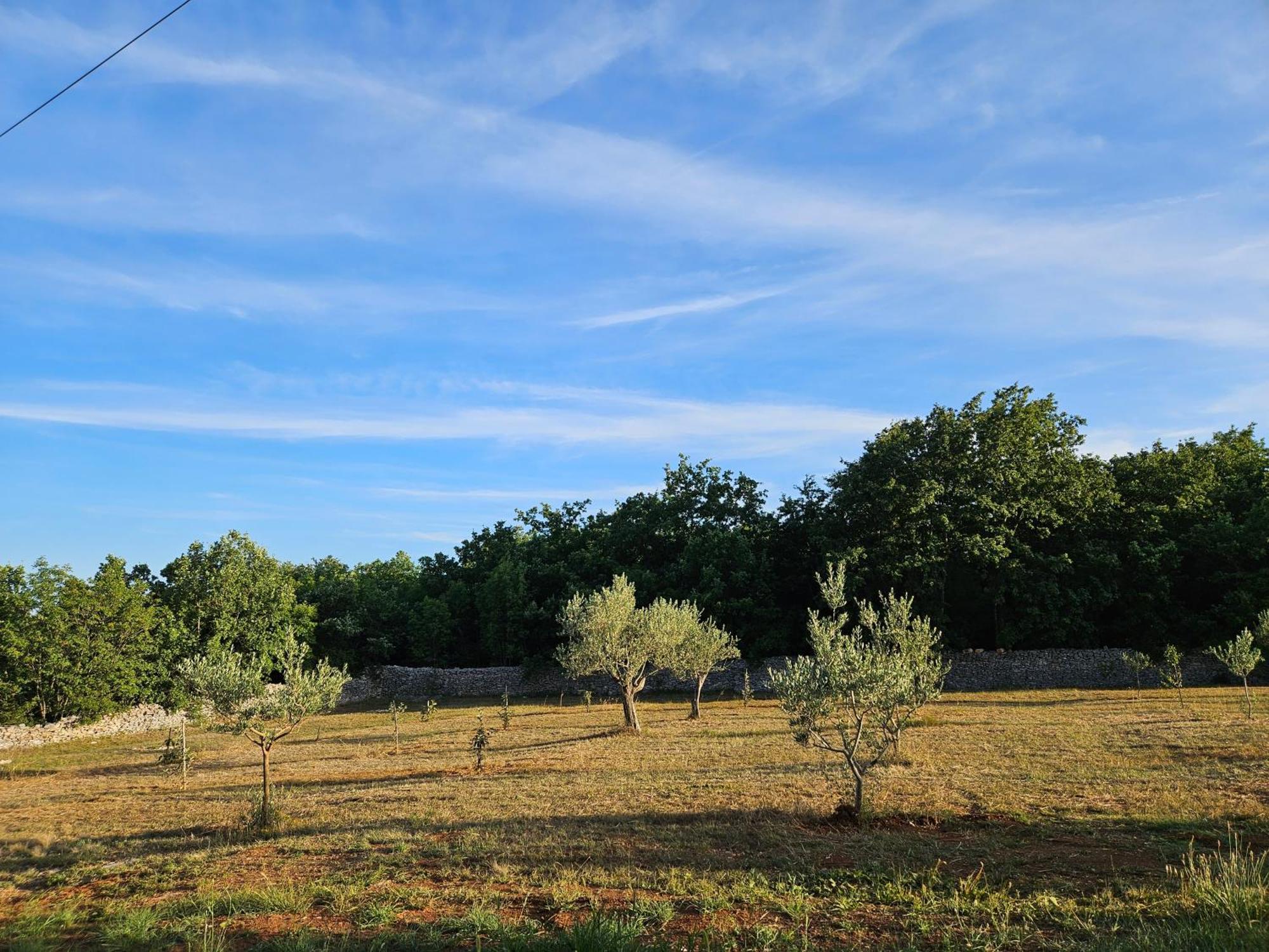 Stancija Lottegaly - Green Holiday Vodnjan Dış mekan fotoğraf