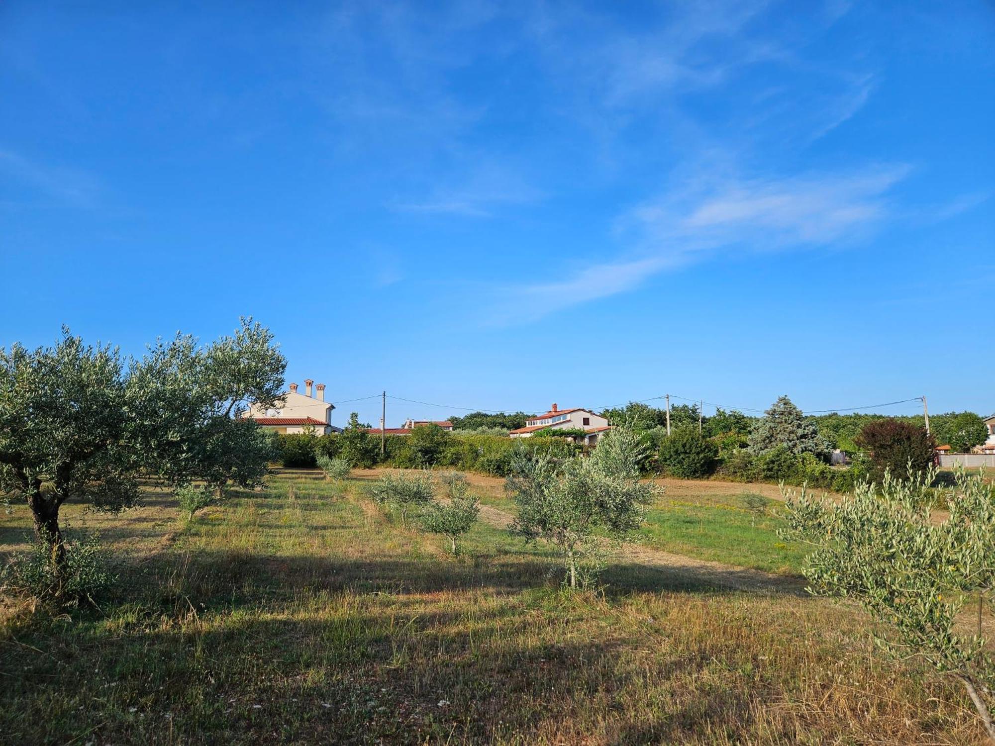 Stancija Lottegaly - Green Holiday Vodnjan Dış mekan fotoğraf