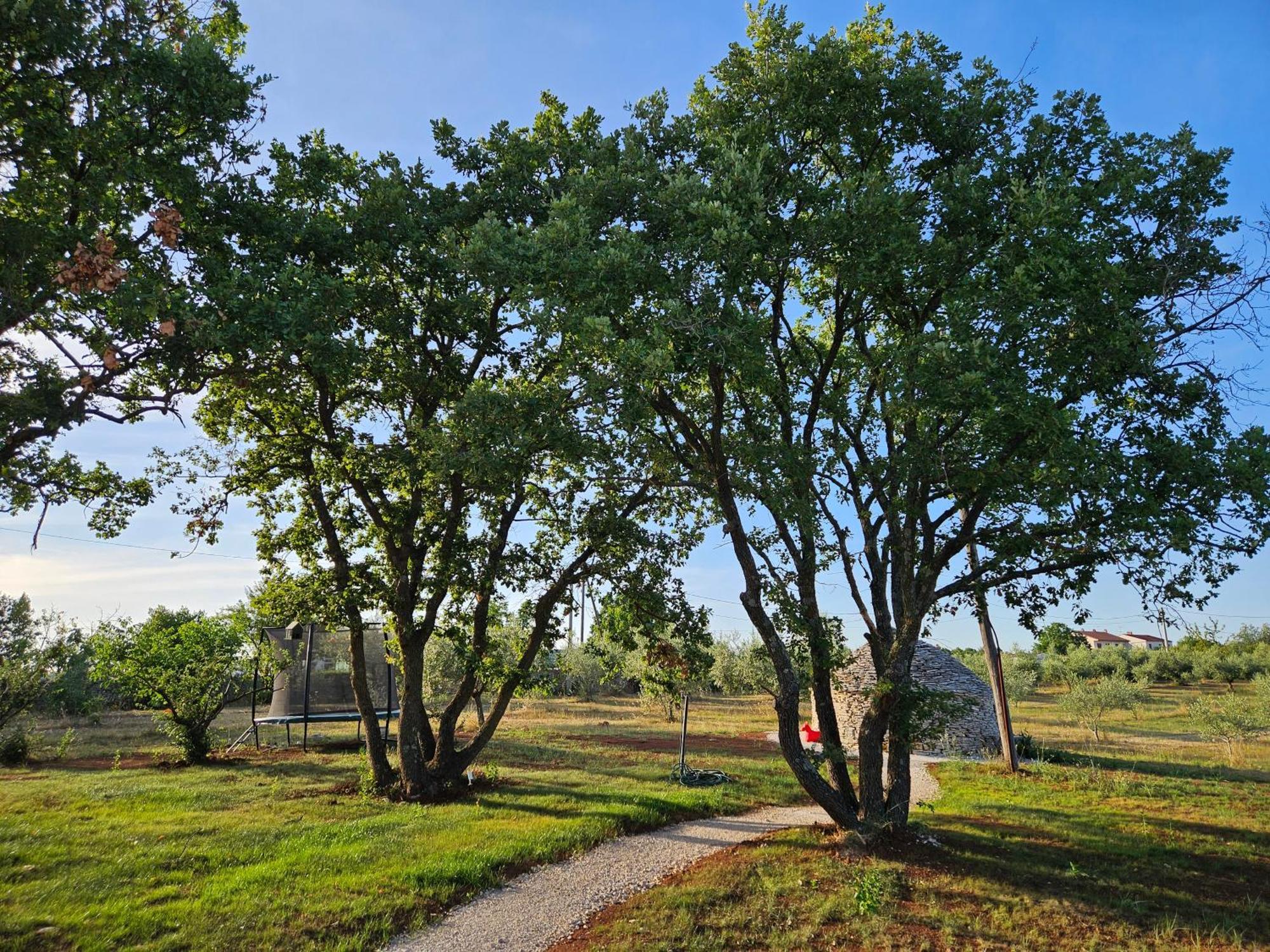 Stancija Lottegaly - Green Holiday Vodnjan Dış mekan fotoğraf